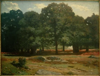 Kastanienallee in La Celle Saint-Cloud